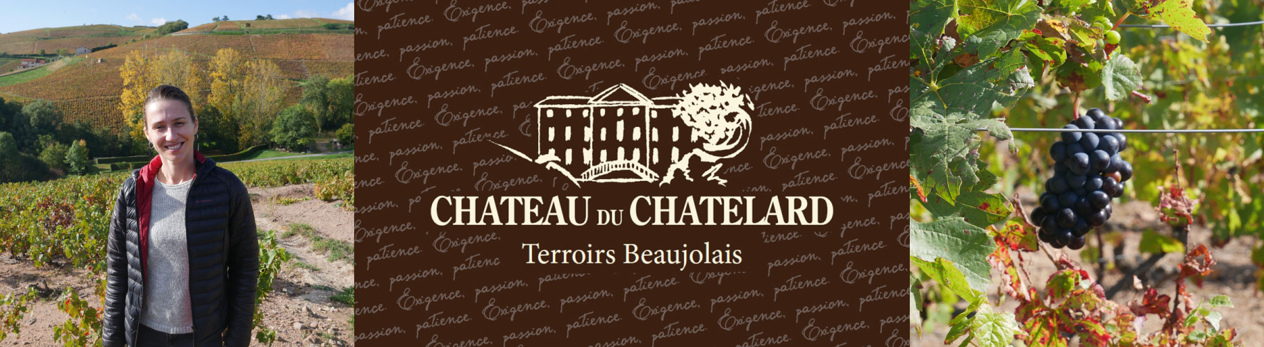 CHATEAU DU CHATELARD Terroirs Beaujolais