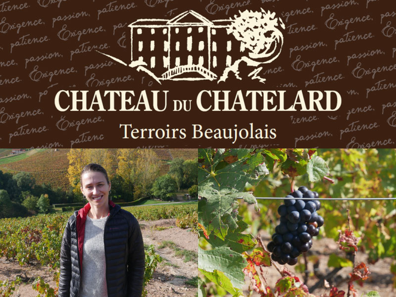 CHATEAU DU CHATELARD Terroirs Beaujolais