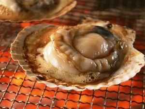 JAPANESE SCALLOP